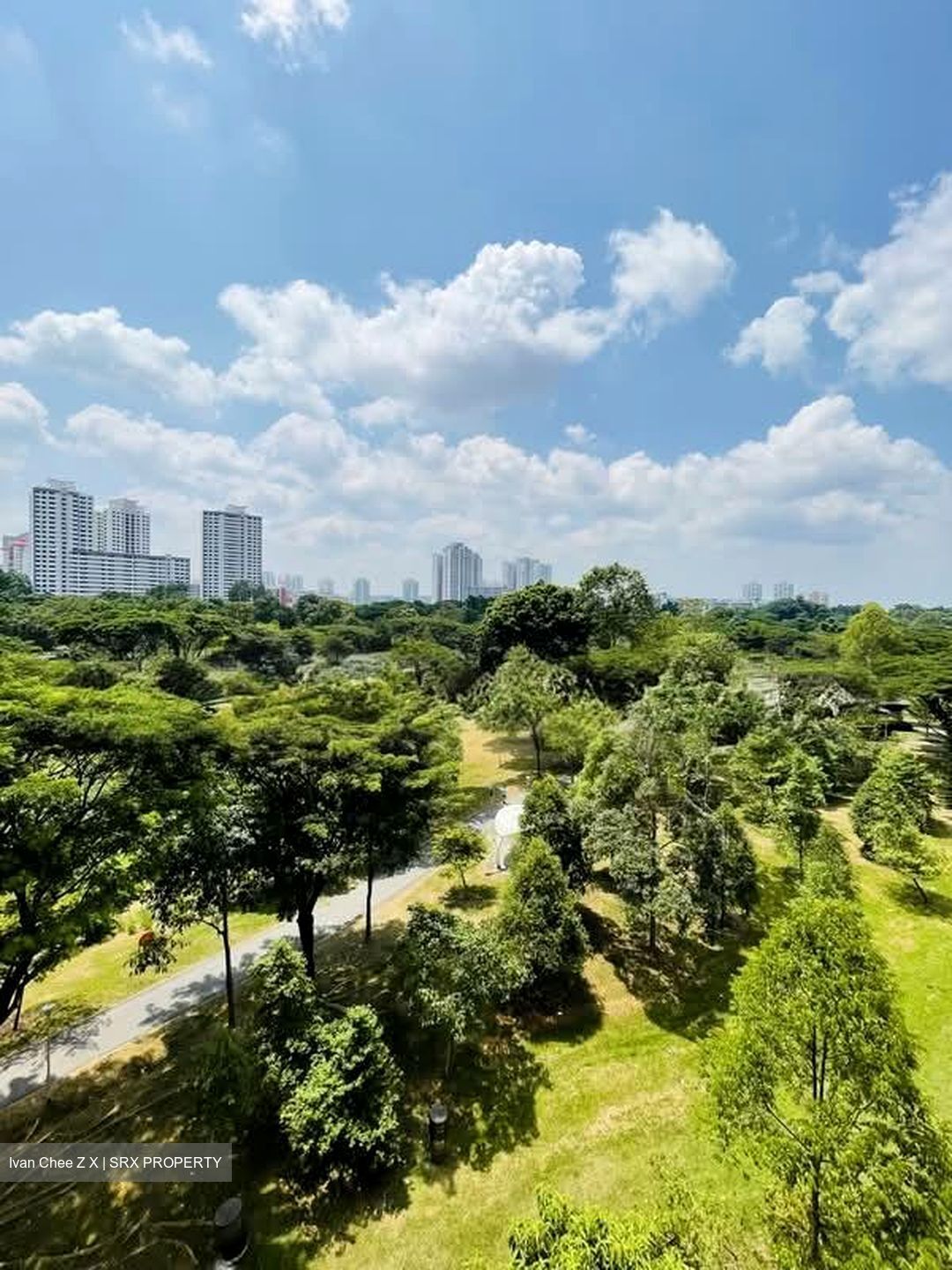 Blk 241 Bishan Street 22 (Bishan), HDB 4 Rooms #582869591